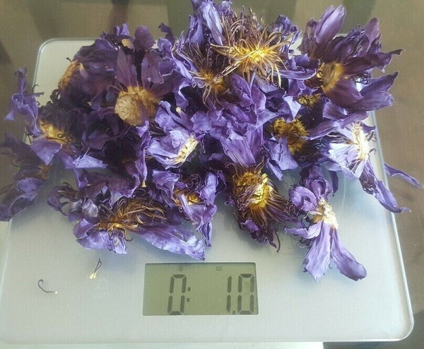 28g Ägyptische Blaue Lotusblumen (Nymphaea Caerulea) –Trockenblumen, ATL Versand