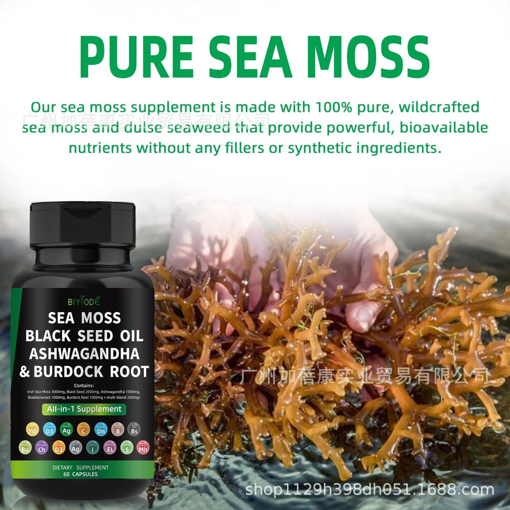 Zertifizierte Bio Seemoss Kapseln für Irish Sea Moos Blasenwurzel Klettenwurzel