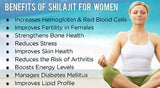 Shilajit puro 100% del Himalaya, resina blanda, orgánico, extremadamente potente