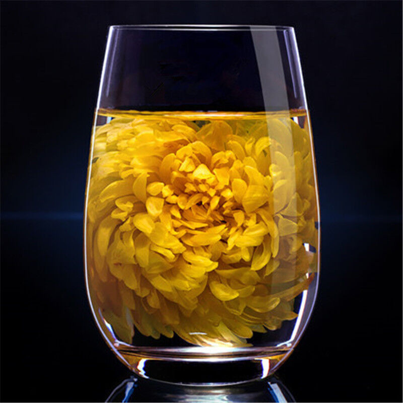 A large Cup of Organic Herbal Tea in Summer Gold Huang Ju 4 pieces chrysanthemum Main image