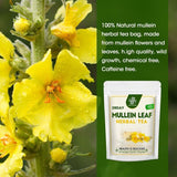 100% Natural Mullein Leaf Herbal Tea For Lung Cleansing Relief Cough Metabolism
