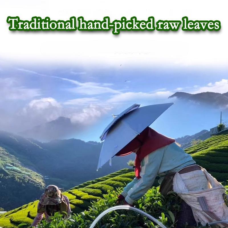 CIFbuy HelloYoung Taiwan Milk Oolong Jinxuan Oolong Alishan High Mountain Oolong Tea 250g Hand Harvested  Strong aroma resistant to brewing