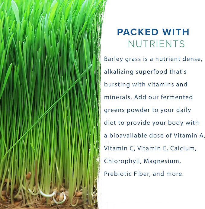 Barley grass powder original barley grass powder willy ong Rich in Immune Vitamin, Fibers, Minerals, Antioxidants and Protein Secondary image