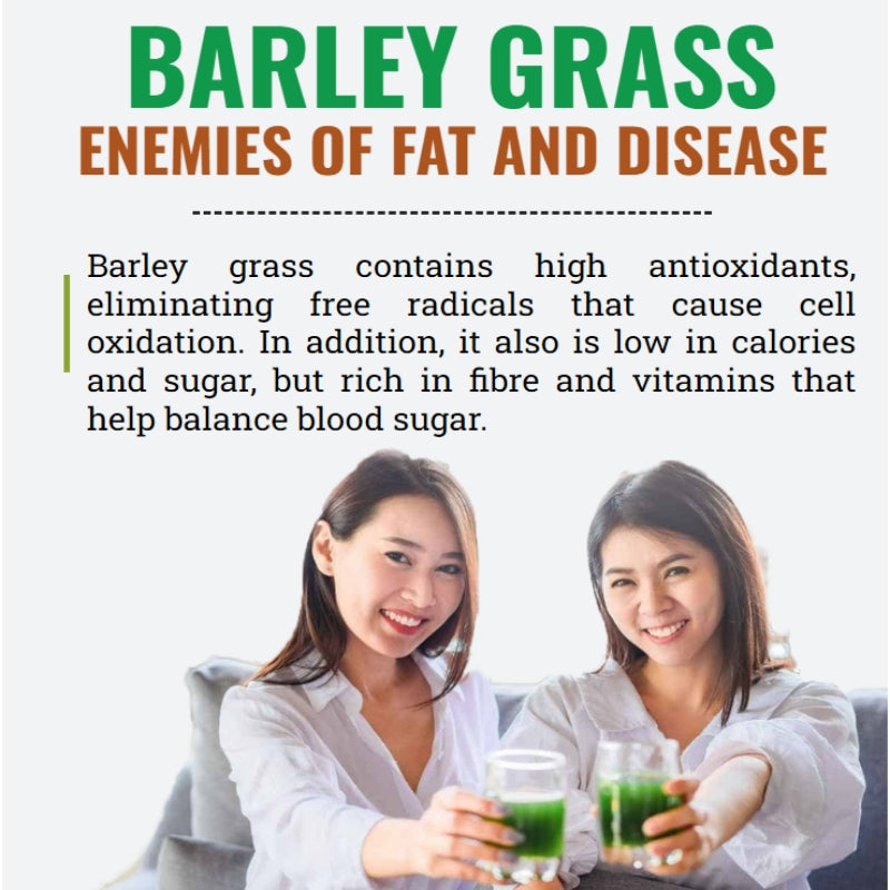 Pure Organic Barley Grass Original Powder Juice Drink 250g Natural Contains Iron Vitamin C, & Vitamin E – Non-GMO