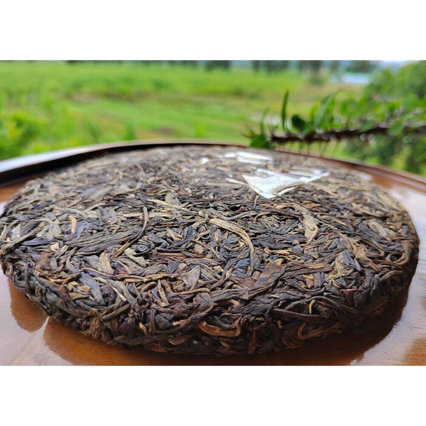 CIFbuy Pu'er Old Raw Tea Menghai Seven Cakes Yunnan Gedeng Yiwu Aged Old Raw Cake