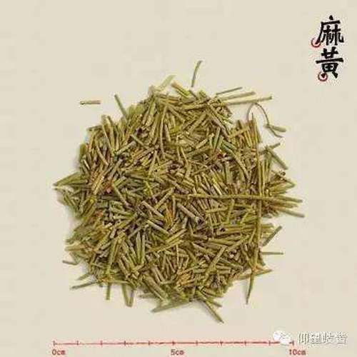 Herbal Tea Mohuang Green Tea Natural Muhuang Tea Raw Mo Huang Herb Tea 250g