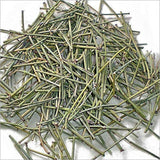 Somlata, Soma, Ephedra Gerardiana, Pack of 100 Grams