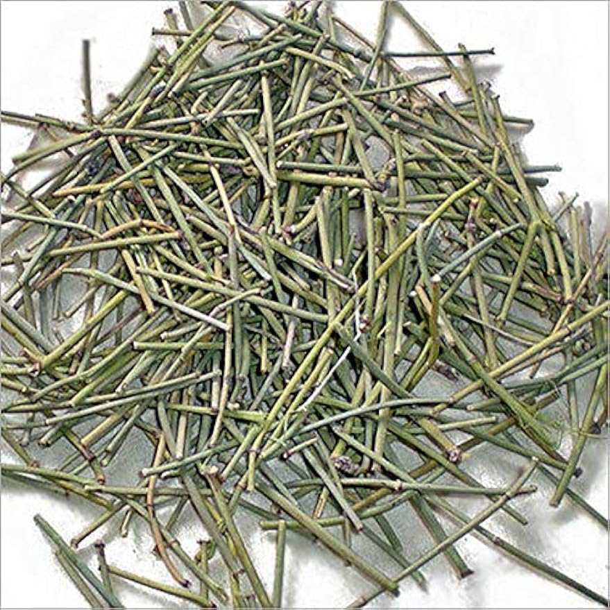 Somlata Soma Ephedra Gerardiana 100gm Main image