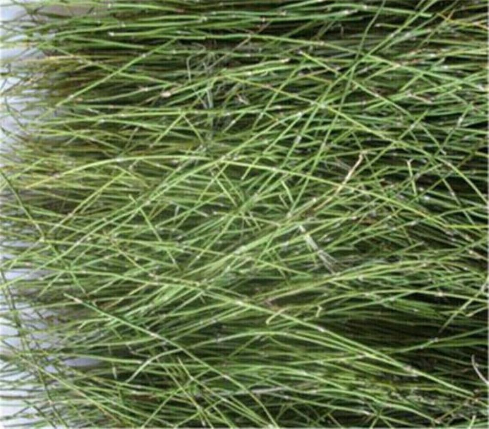 Ephedra Herb tea China Original Scented Tea Good Tea Natural Organic Flower tea Green Food Herbal tea Without Additives (500g) Secondary image