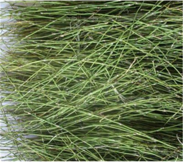 Ephedra Herb tea China Original Scented Tea Good Tea Natural Organic Flower tea Green Food Without Additives Herbal tea (500g)