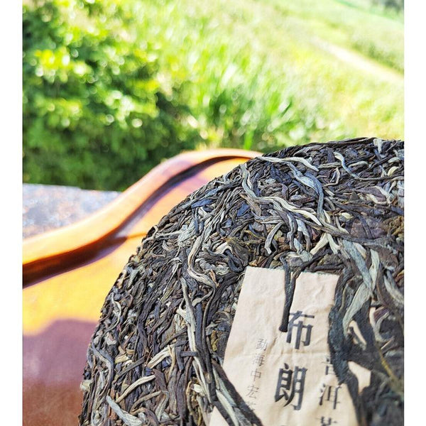 CIFbuy Yunnan Menghai Pu'er Tea Brown Mountain Early Spring Arbor Pu'er Raw Tea Cake