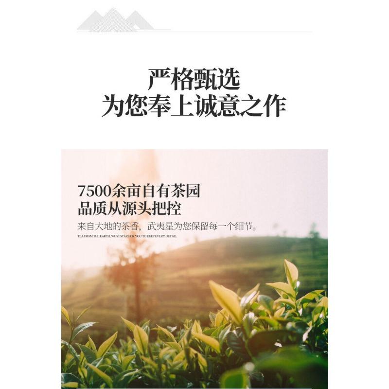 CIFbuy WuyiStar Rougui Rou Gui Oolong Fujian Wuyi Mountain Rock Tea YanCha 100g Bag