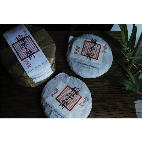 CIFbuy Plum Turnip Potted Pond Ancient Tree Raw Tea Cake Cold Plum Aroma and Deep Charm