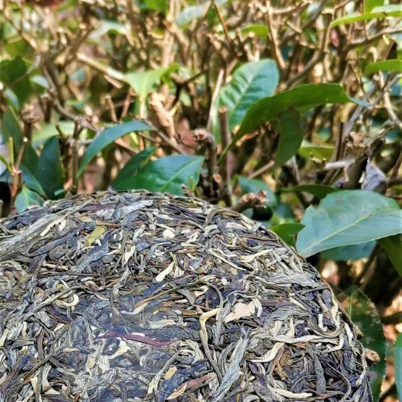 CIFbuy 357g Raw Puerh Tea Cake Mengkulaoshu Pu-erh Tea 2020 Year Early Spring Pu'er Tea