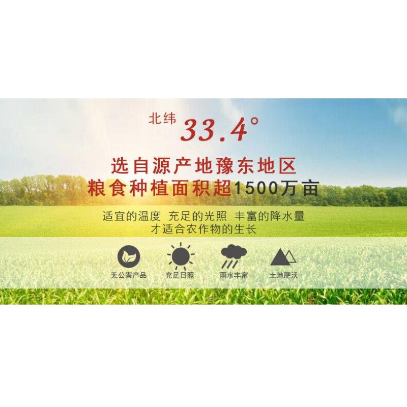 CIFbuy Mature Wheat Flour Bulk Grain Powder Grain Flour Meal Replacement Powder 500g