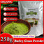 Organic Wheat Grass Powder 250g, Wheatgrass Powder for Immunity Support