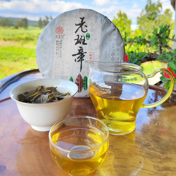 CIFbuy 357g Ming Qian Ancient Tree Spring Tea Pu'er Raw Tea Seven Seed Cake Tea