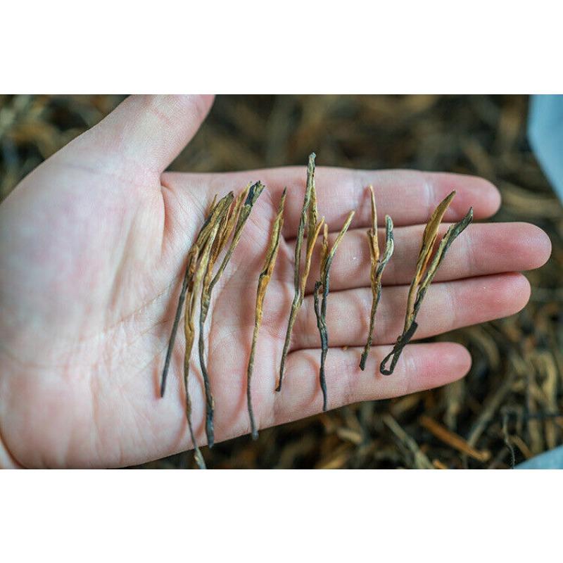 CIFbuy Yunnan Fengqing DianHong tea Pine Needle Un bourgeon une feuille Golden Needle