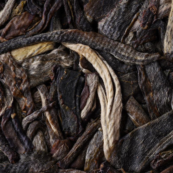 CIFbuy 2021 Haiwan Zhang Jia San Dui Bulang Mountain Raw Puer Tea Old Trees Puerh 500g