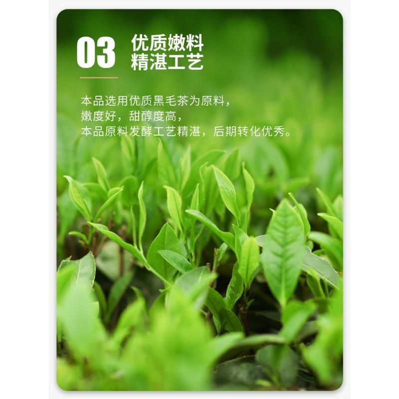 CIFbuy CHINATEA Jinhua MM Hunan Anhua Golden Flowers Fucha Dark Tea Brick Fu Zhuan 360g