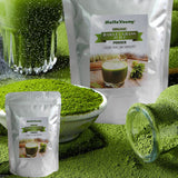 HelloYoung Organic Barley Grass Juice Powder Super Greens Powder Contains Iron Vitamin C, & Vitamin E – Non-GMO Gluten-Free Soy-Free Vegan & Paleo – Daily Greens Booster 250g