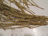 Somlata - Soma - Ephedra Vulgaris - Ephedra gerardiana - (100 GM)