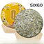 CIFbuy 300g Fuding White Tea 2019 Bai Hao Yin Zhen High Mountain White Tea Cake