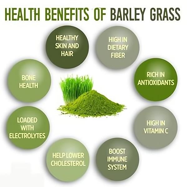 Unsweetened Premium Organic Barley Grass Powder 250g moistening intestines, burning fat, purifying liver, lowering cholesterol