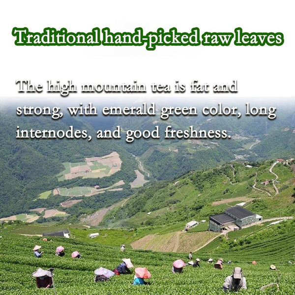 CIFbuy HelloYoung Organic High Mountain Fujian Taiwan Alishan Oolong Tea Tieguanyin Oolong Loose Leaf Leaves China Milk Oolong Tea Strong aroma resistant