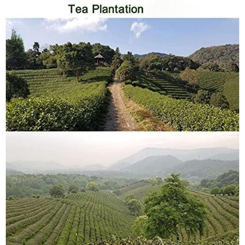 CIFbuy West Lake Longjing Tea Dragon Well Green Tea Leaves Pick Before Qingming 125g