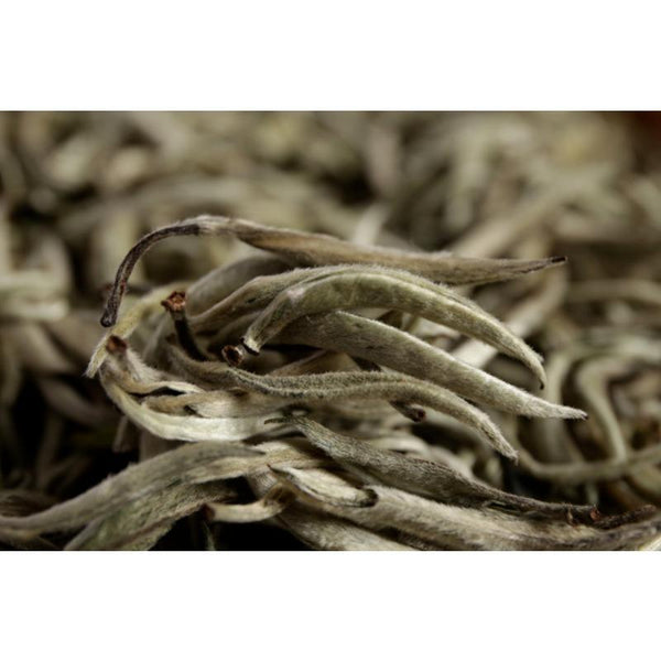 CIFbuy Pu'er raw tea white hair silver needle white hair single bud moonlight white tea