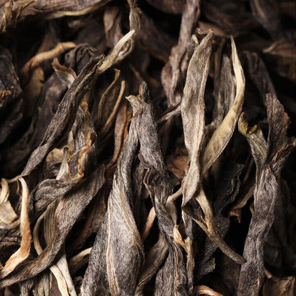 CIFbuy Xinyihao Yunnan Laozhai Ancient Tree Icelandic Pu'er Raw Loose Tea: A Premium Choice