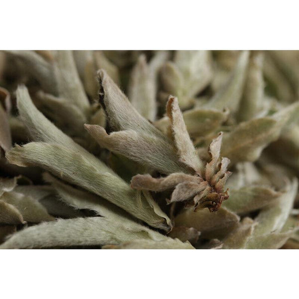 CIFbuy YABAO Bai Ya Bao Shen Puerh Loose Leaf Yunnan White Buds Pu-erh Tea Raw Puer