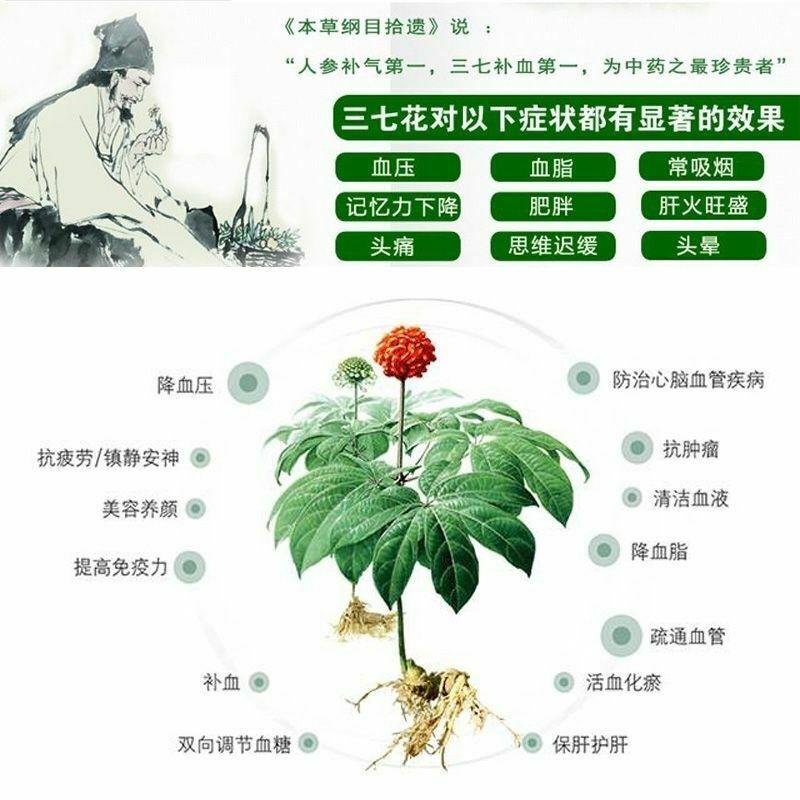 CIFbuy Top Ecological Notoginseng Natural Flower Herbal Tea Chinese Sanqi Herbs Tea250g