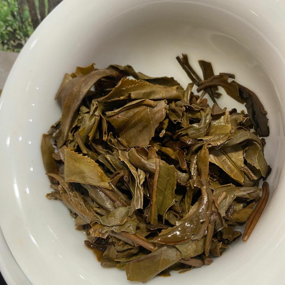 CIFbuy Shen Shan Lao Shu * 2017 Haiwan Old Comrade Lao Tong Zhi Raw Sheng Puer Tea 500g
深山老树 * 2017 海湾老同志老同志生普洱茶叶 500克