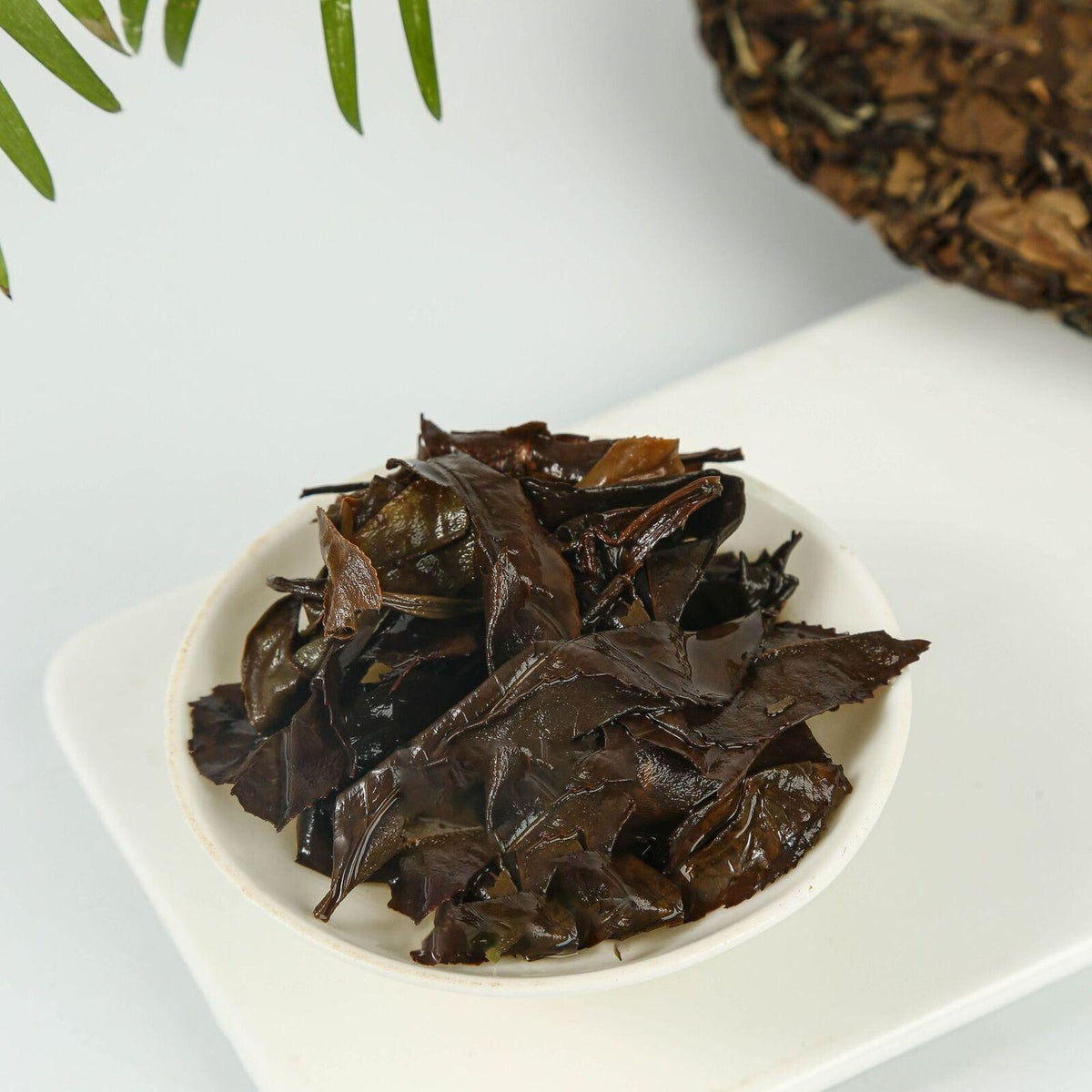 CIFbuy 350g Old White Tea Fuding White Tea White Peony Gongmei Tea Shoumei Tea Cake