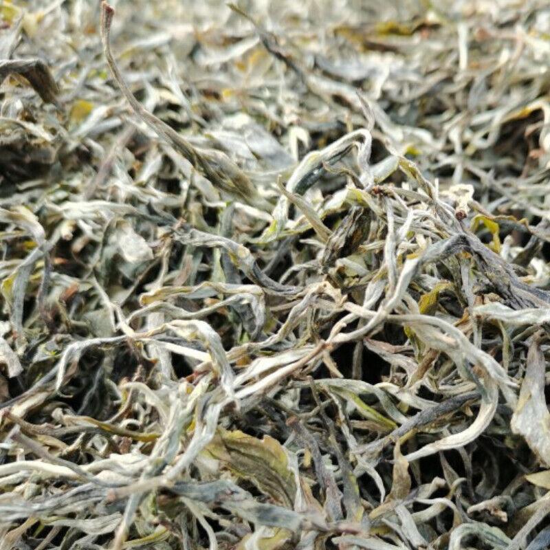 CIFbuy 200g Fenghuangwo Ancient Tree Tea Organic Spring Tea Healthy Drink