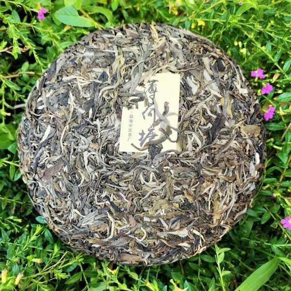 CIFbuy 357g Zhonghong India Mint Tang Pu'er Raw Tea ancient tree Pu'er green tea