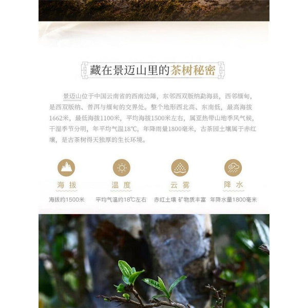 CIFbuy 357g Honey Fragrant Sweet Yunnan Pu'er Tea Raw Tea Jingmai Green Qizi Cake Tea