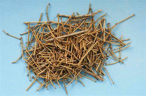 Mormon Tea - Brigham Tea - Ephedra Tea - SUBALPINE | USA WILDCRAFTED 8.8oz Dried Secondary image