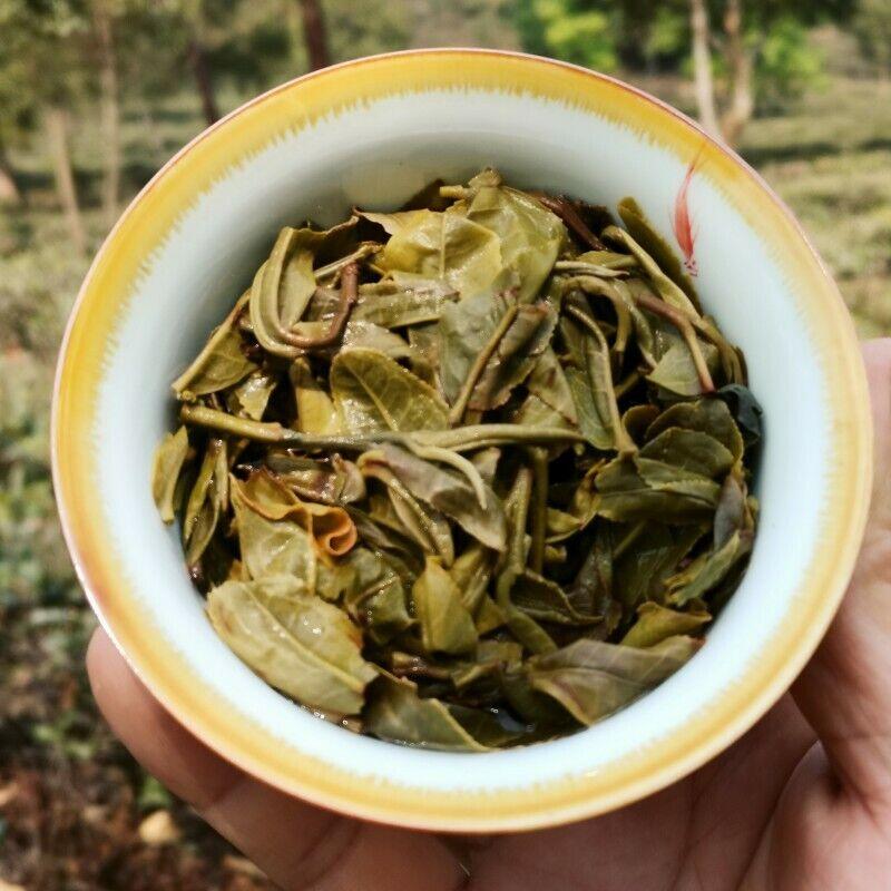 CIFbuy 357g Yiwu Pu'er Tea  2023 Early Spring Arbor  Tea  Healthy Drink