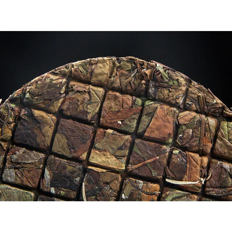 CIFbuy 200g Ancient Tree Tea Old White Tea Yunnan Yiwu Flower and Fruit Tea Cake
