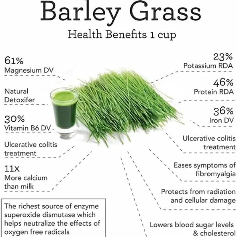 CIFbuy Barley Grass Powder Original 100% healthy Pure Organic Barley for weight loss body detox keto diet Barley grass powder moistening intestines