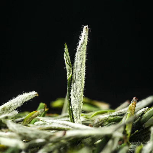 CIFbuy 250g Huangshan Maofeng Green Tea High Mountain Chinese Tea Loose Leeaf Green Tea