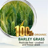 Barley Grass Powder original Easy to drink Pure Organic Barley Juice Antioxidant-Rich, Energy Booster Organic Grass Powder