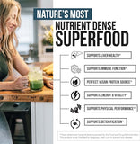 Organic Barley Grass Juice Powder Cold Pressed Rich in Immune Vitamin, Fibers, Minerals, Antioxidants and Protein, Support Immune System and Digestion
