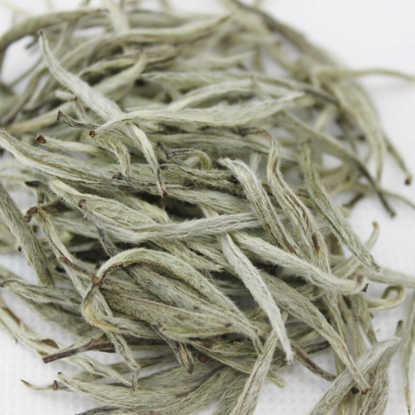 CIFbuy Premium Organic Silver Needle White Tea FuDing Bai Hao Yin Zhen Tea 75g Tin