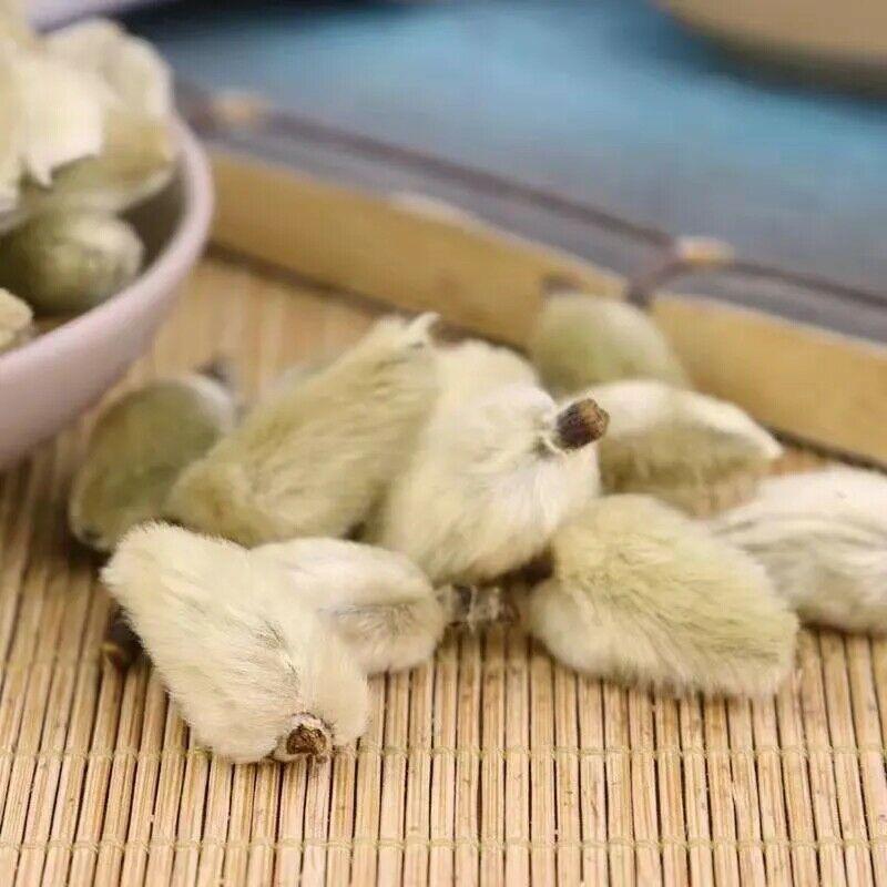 CIFbuy Organic Flos Magnoliae Lilliflorae Magnolia Flower Buds Xin Yi Hua Herbal Tea