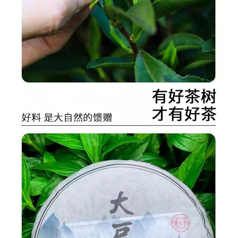 CIFbuy Yunnan Pu'er Tea Raw Tea Cake Raw Puer Tea Cake 357g