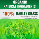 Organic Barley Grass Juice Powder Super Greens Powder Contains Iron Vitamin C, & Vitamin E – Non-GMO Gluten-Free Soy-Free Vegan